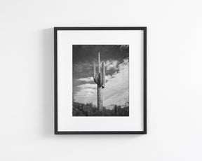 Desert Cactus, Vertical