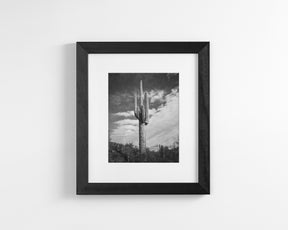 Desert Cactus, Vertical