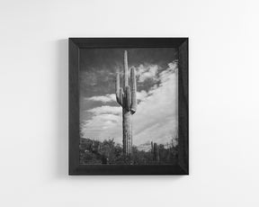 Desert Cactus, Vertical