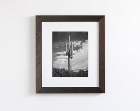 Desert Cactus, Vertical