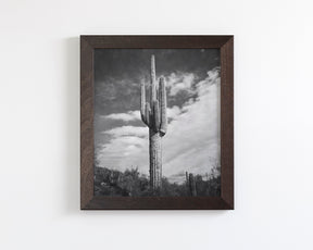 Desert Cactus, Vertical
