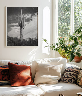 Desert Cactus, Vertical
