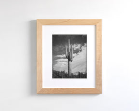 Desert Cactus, Vertical