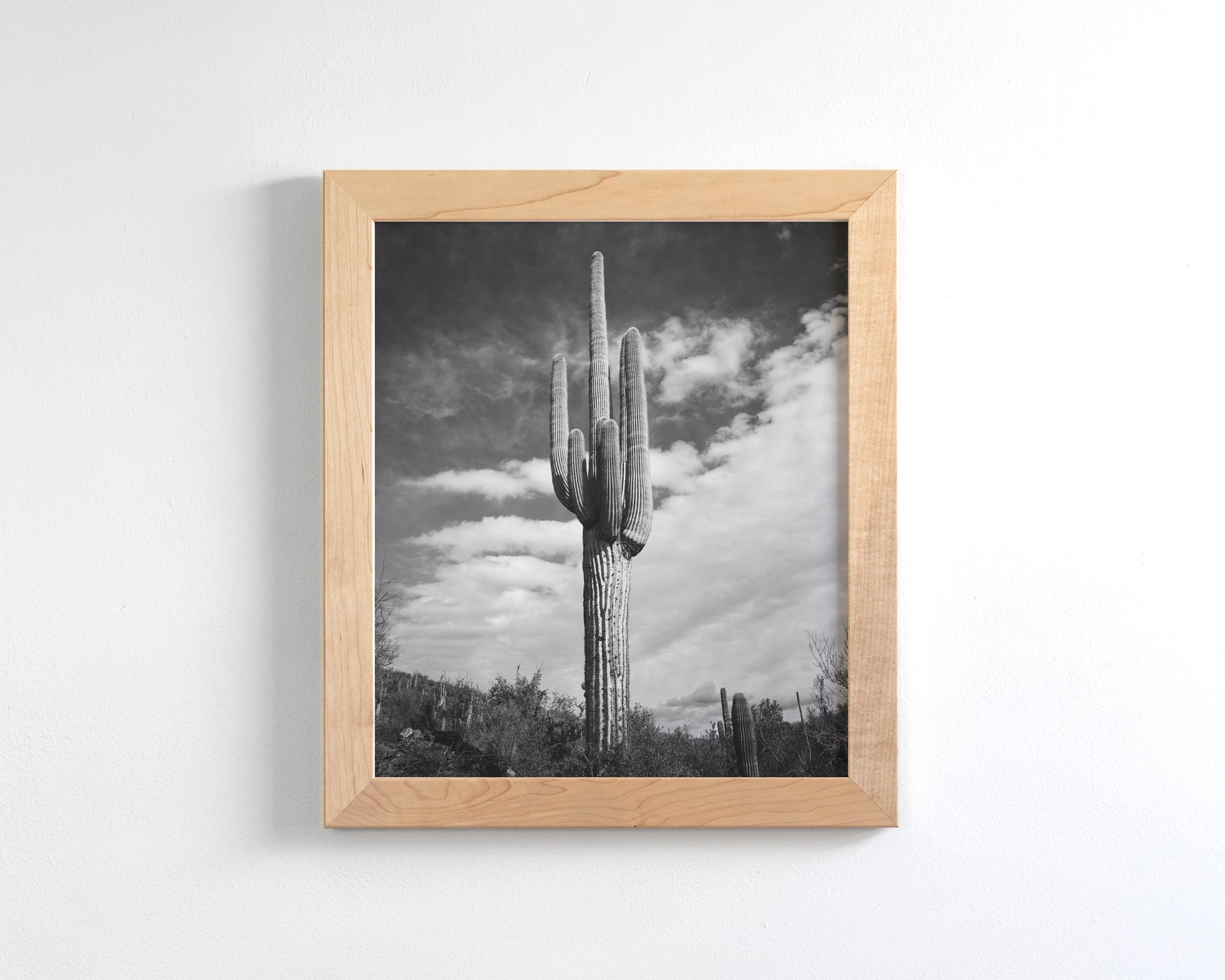 Desert Cactus, Vertical