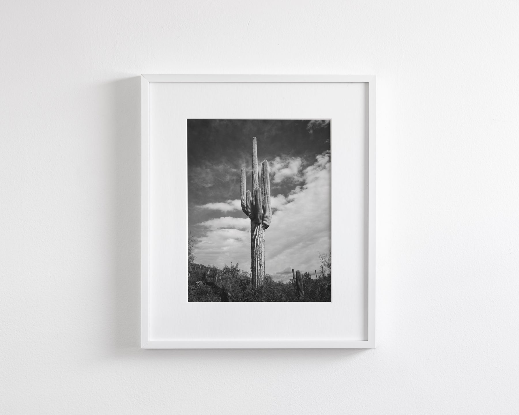 Desert Cactus, Vertical