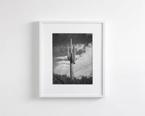 Desert Cactus, Vertical