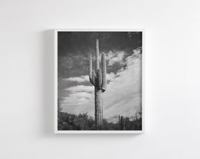 Desert Cactus, Vertical