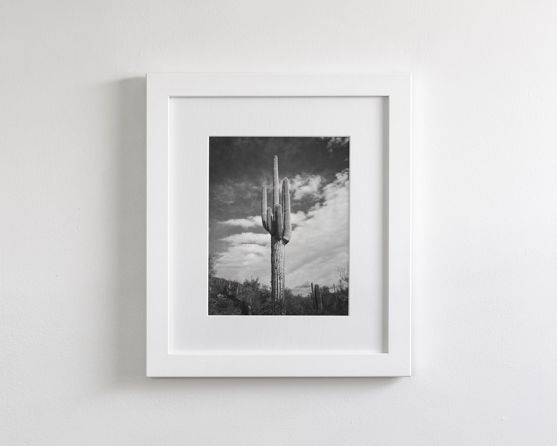 Desert Cactus, Vertical