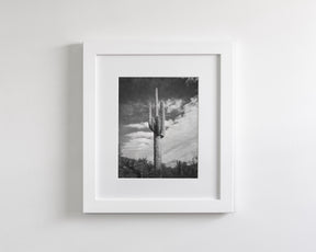 Desert Cactus, Vertical