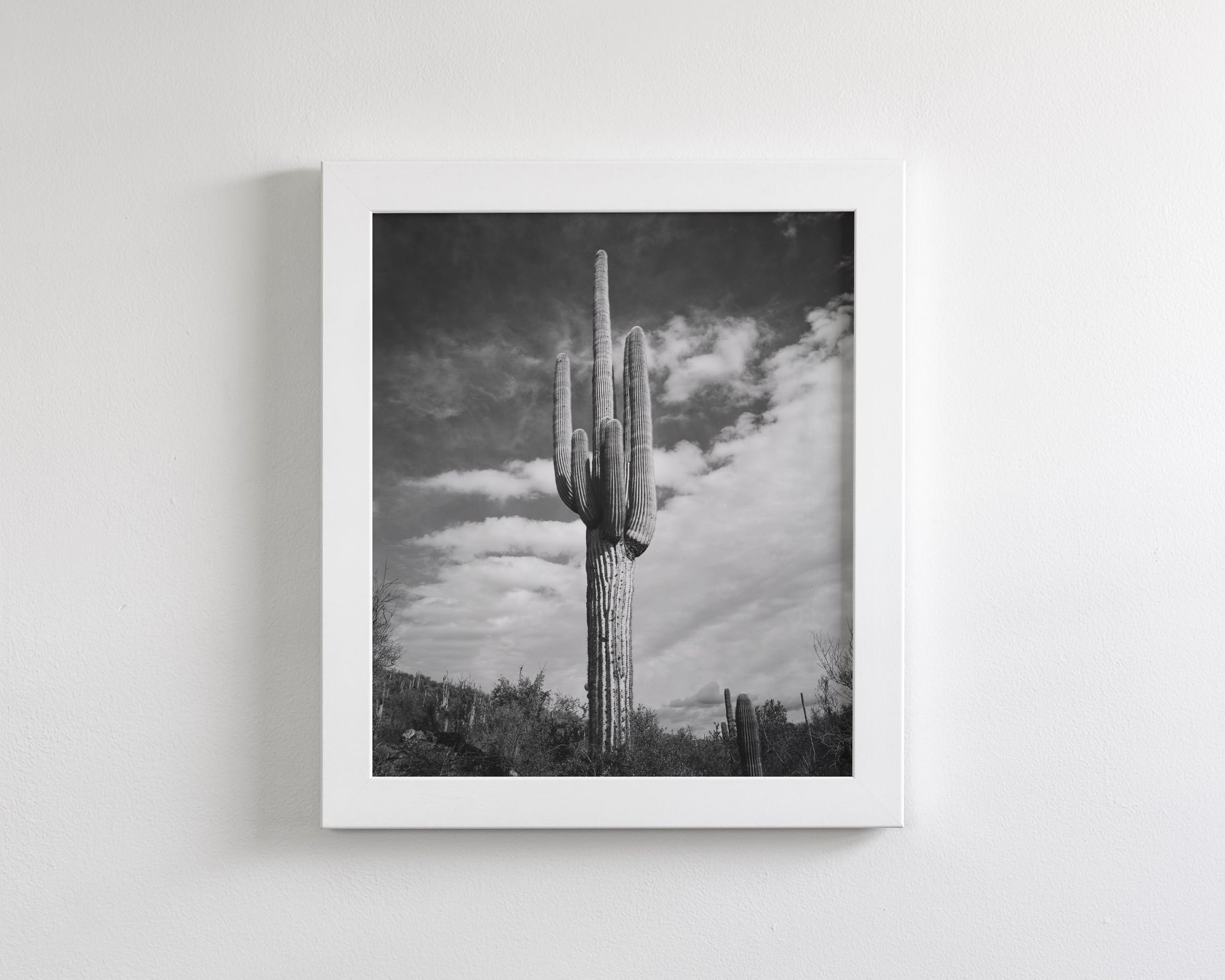 Desert Cactus, Vertical