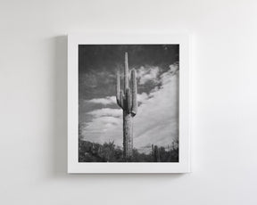 Desert Cactus, Vertical