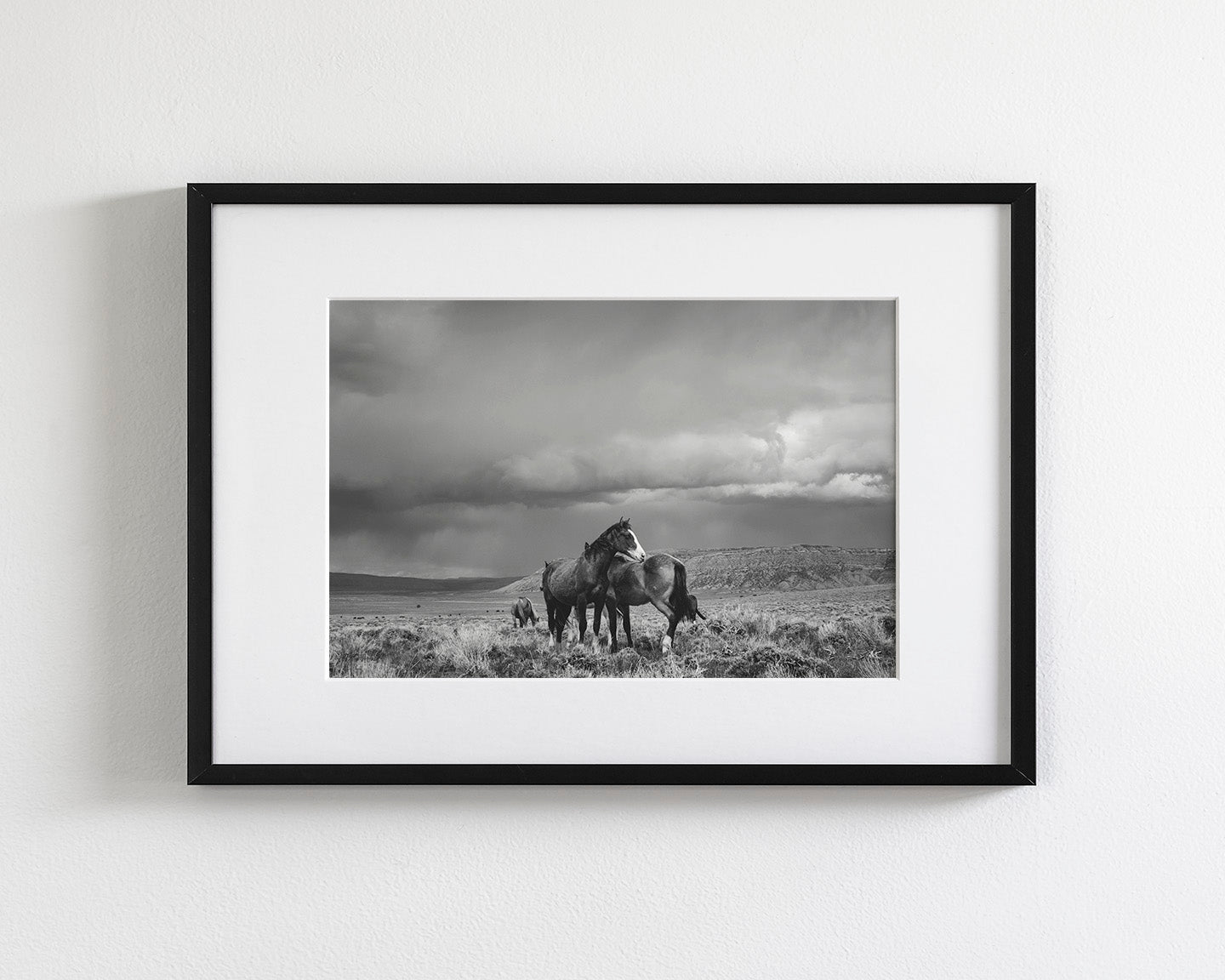 Stormy Days, Wild Horses in Black and White