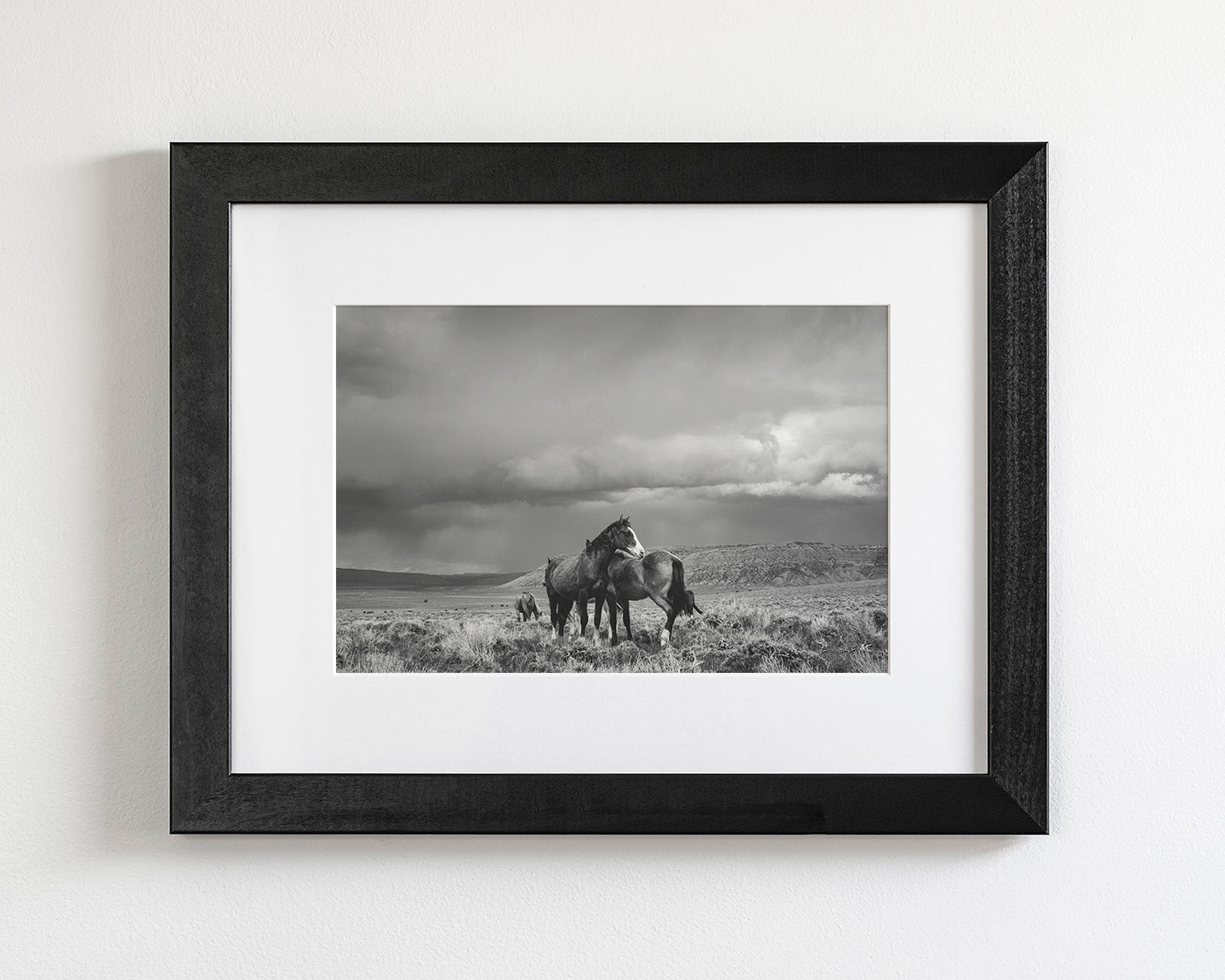 Stormy Days, Wild Horses in Black and White