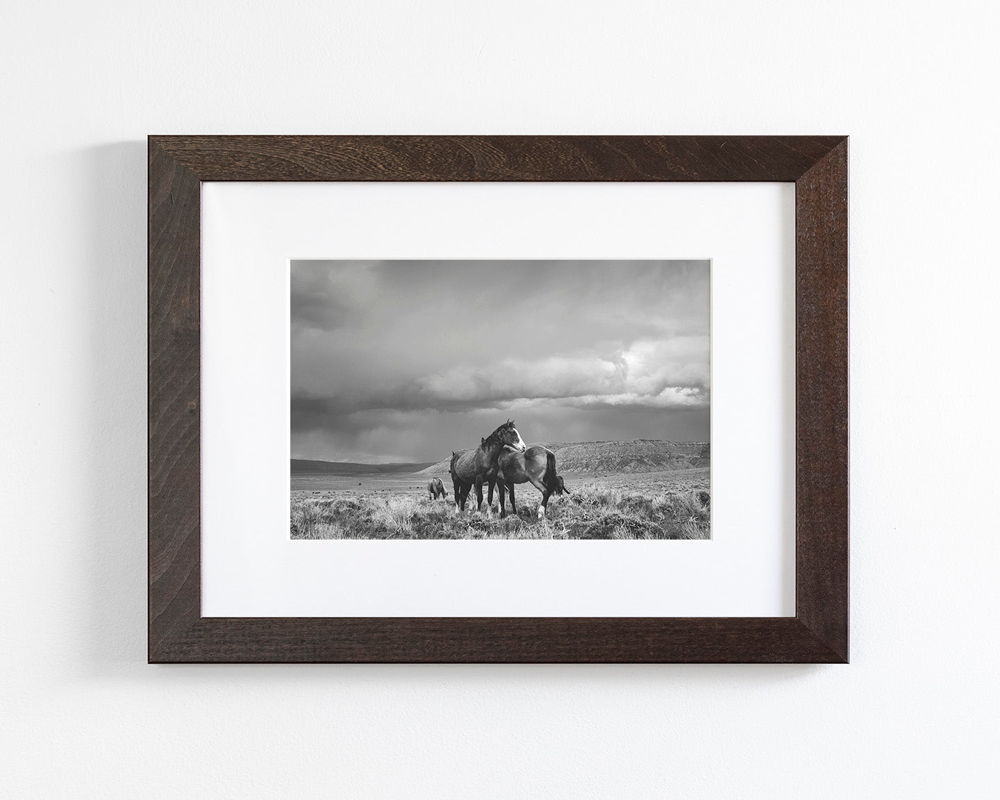 Stormy Days, Wild Horses in Black and White