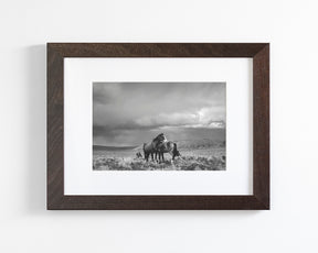 Stormy Days, Wild Horses in Black and White