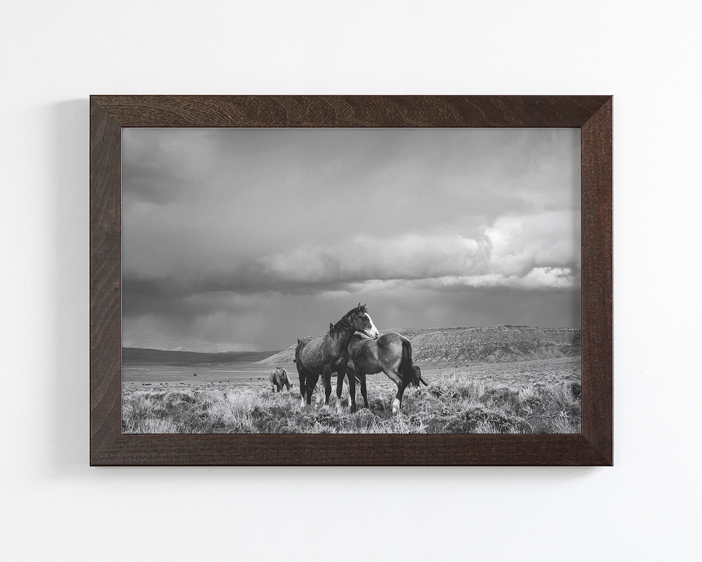 Stormy Days, Wild Horses in Black and White