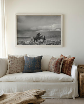 Stormy Days, Wild Horses in Black and White