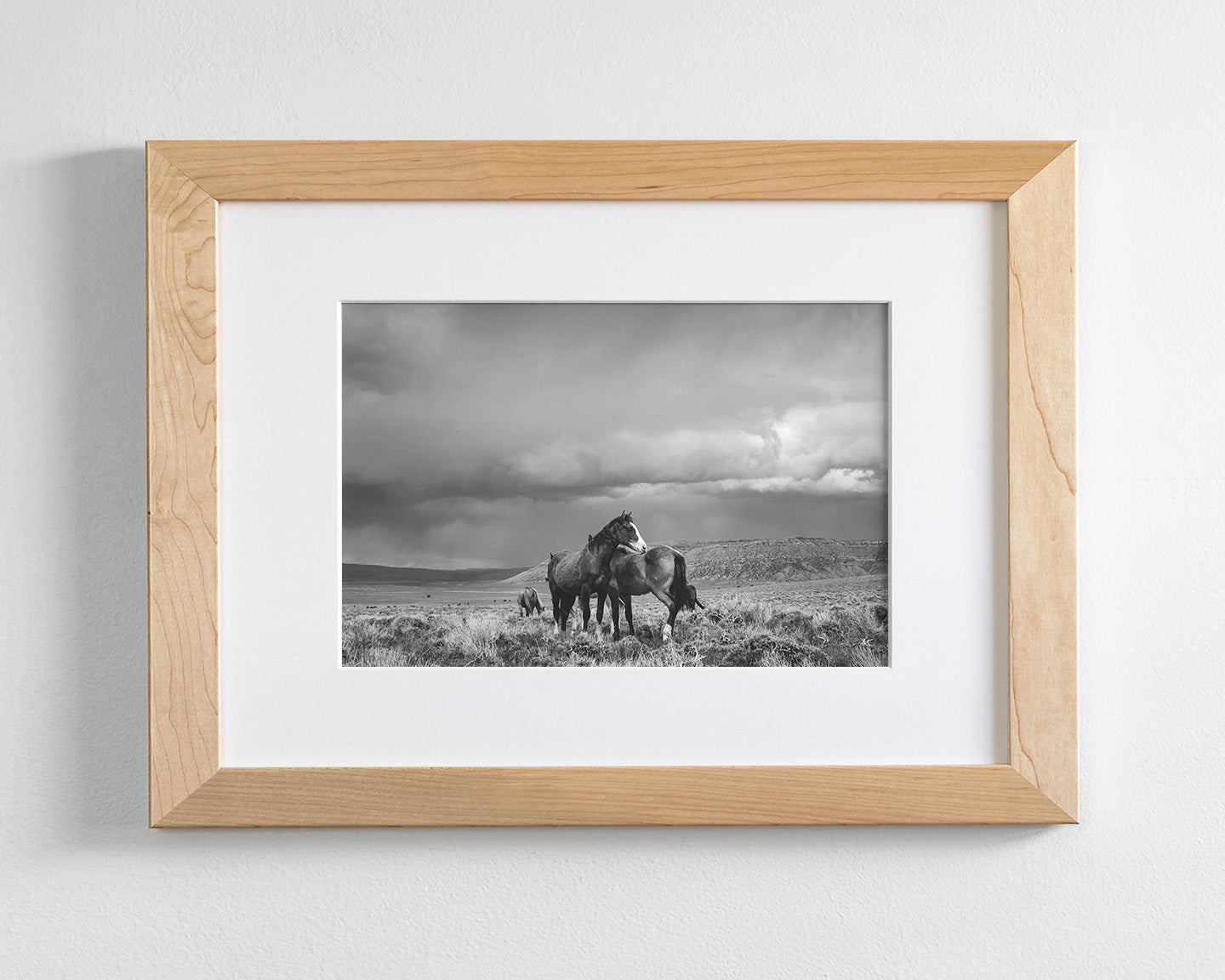 Stormy Days, Wild Horses in Black and White