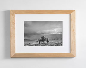 Stormy Days, Wild Horses in Black and White