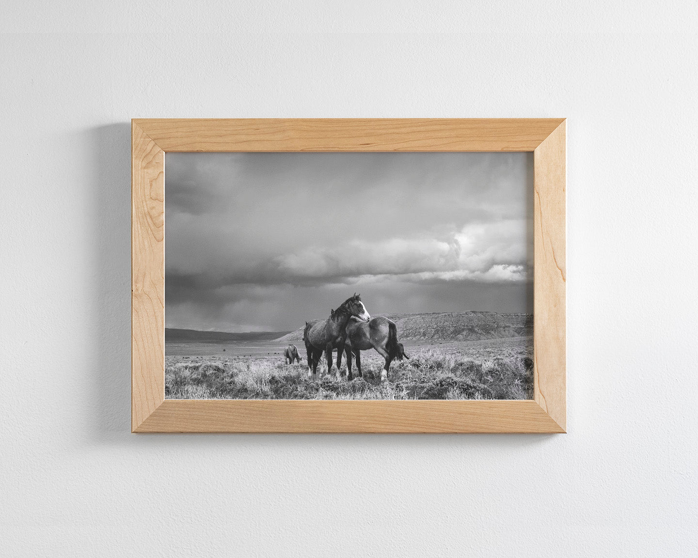 Stormy Days, Wild Horses in Black and White