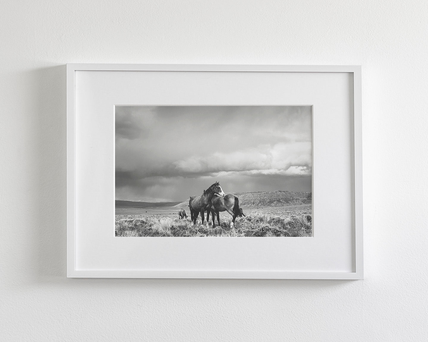 Stormy Days, Wild Horses in Black and White