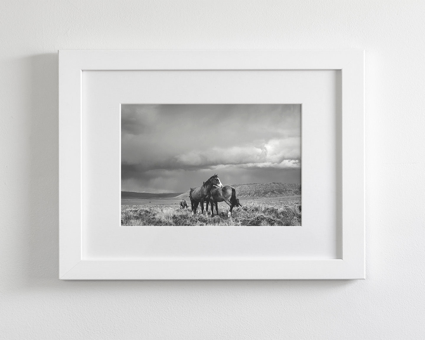 Stormy Days, Wild Horses in Black and White