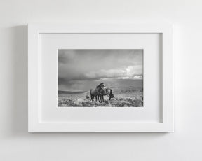 Stormy Days, Wild Horses in Black and White
