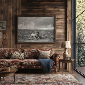Stormy Play, Wild Horses