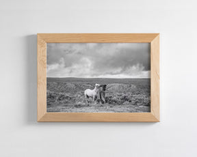 Stormy Play, Wild Horses