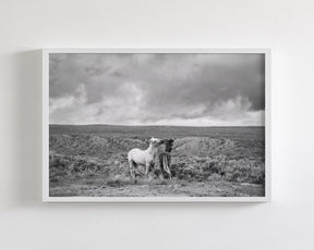 Stormy Play, Wild Horses