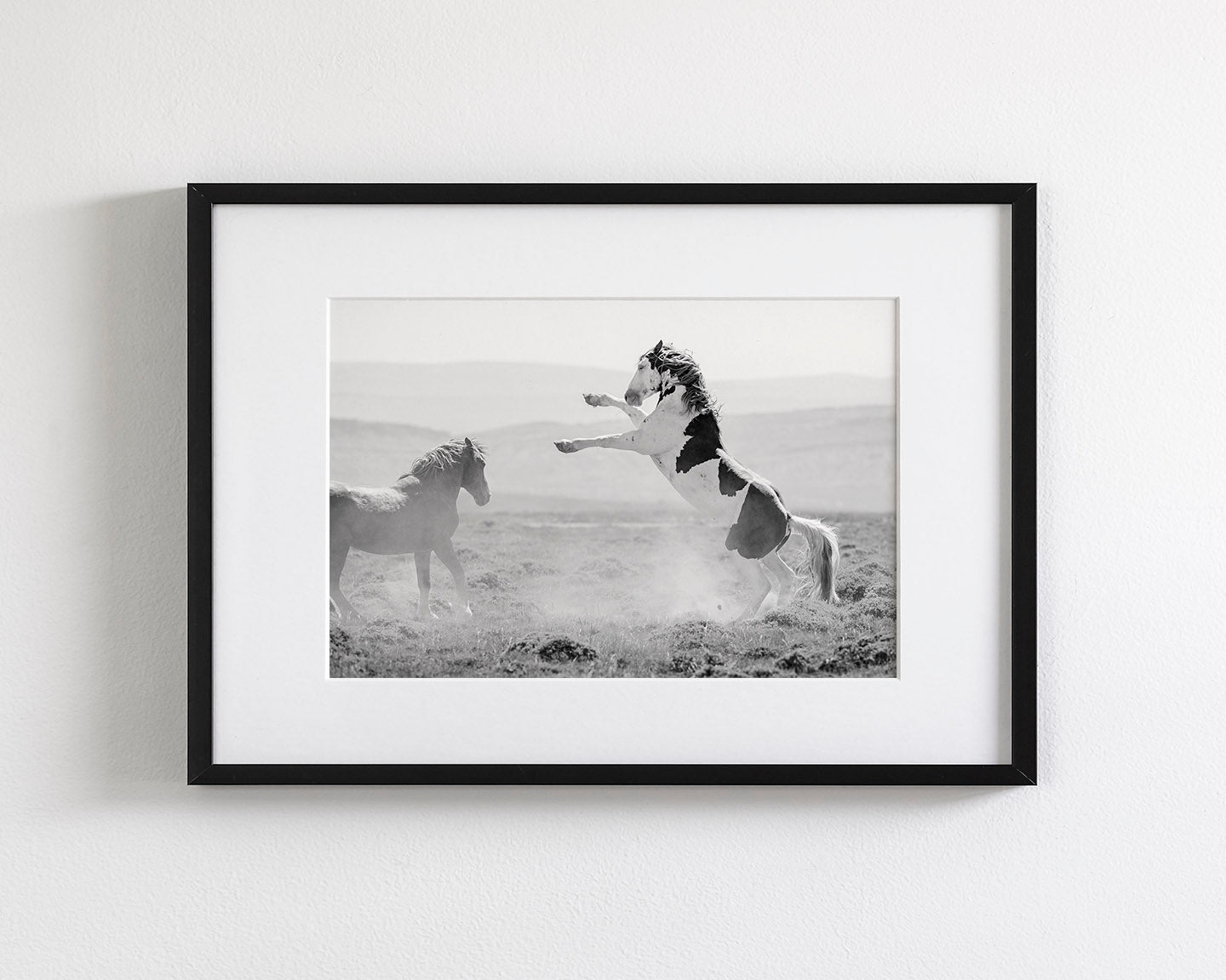 Teton's Warning, Wild Stallion Photograph