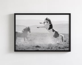 Teton's Warning, Wild Stallion Photograph