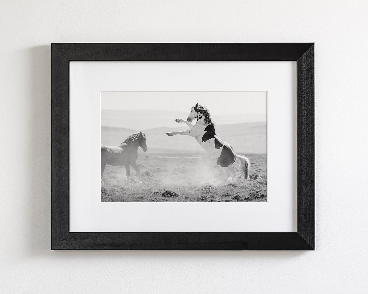 Teton's Warning, Wild Stallion Photograph