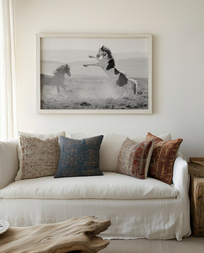 Teton's Warning, Wild Stallion Photograph