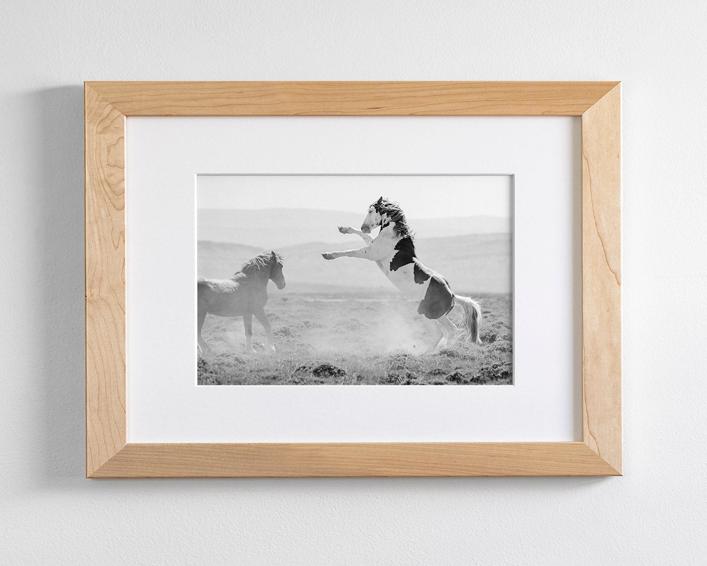 Teton's Warning, Wild Stallion Photograph