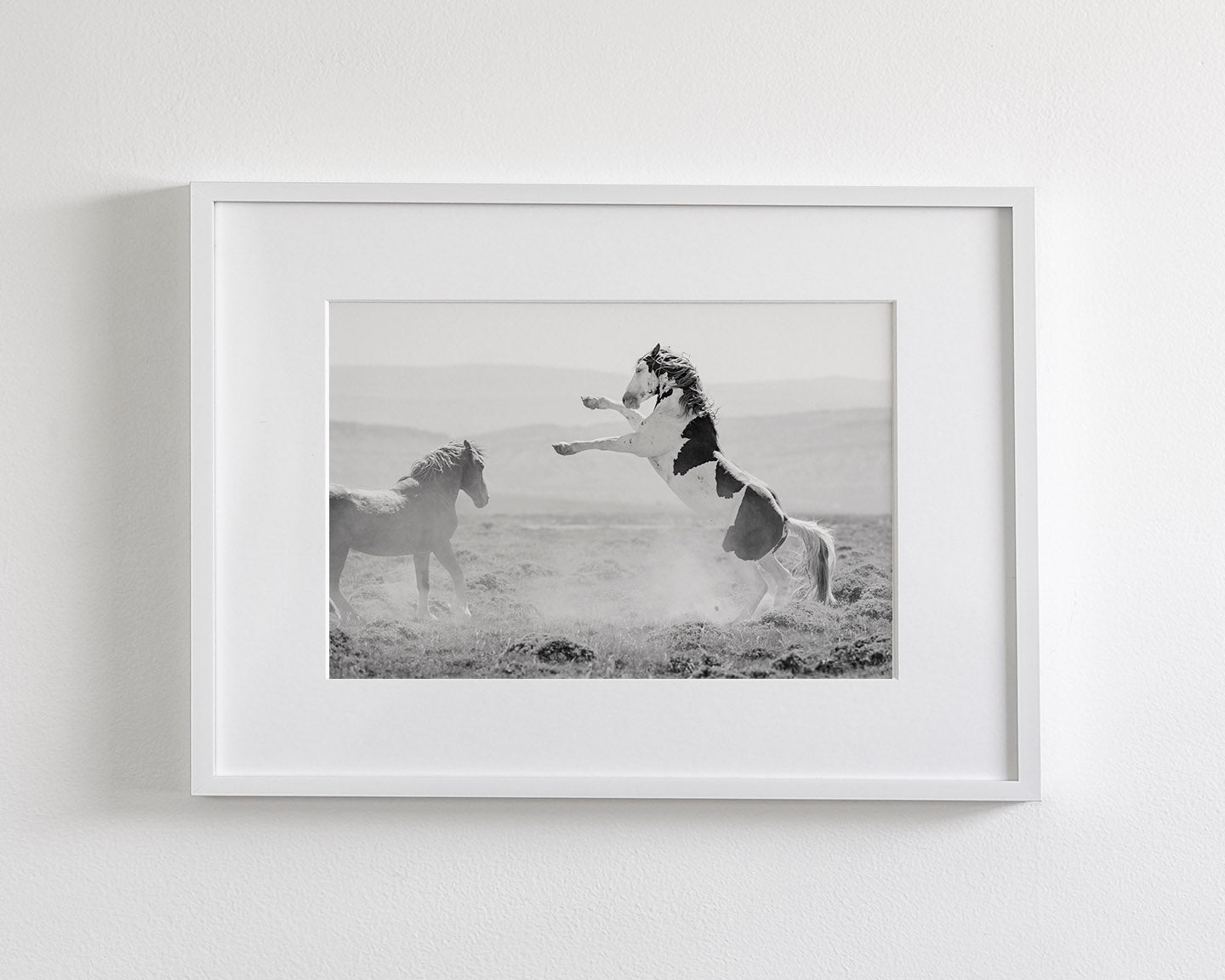 Teton's Warning, Wild Stallion Photograph