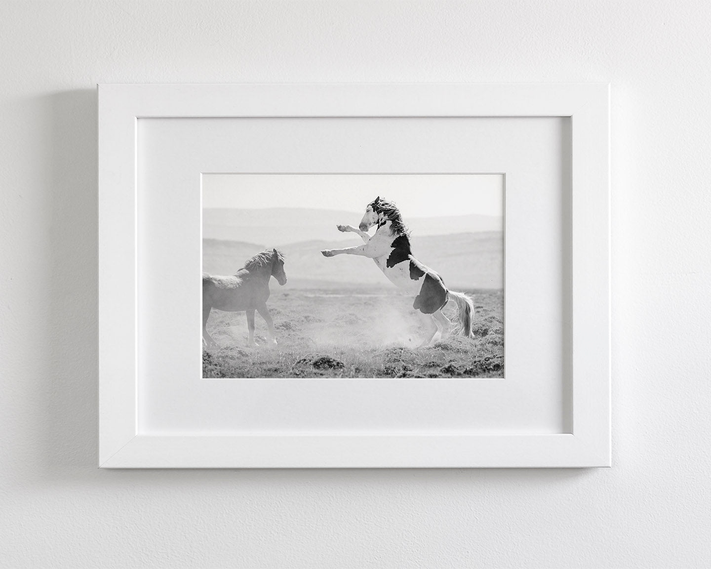 Teton's Warning, Wild Stallion Photograph
