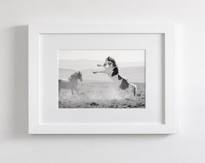 Teton's Warning, Wild Stallion Photograph
