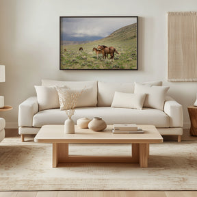 Three Little Wild Horses