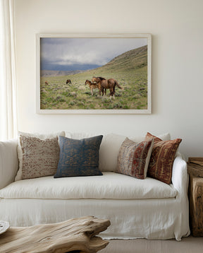 Three Little Wild Horses