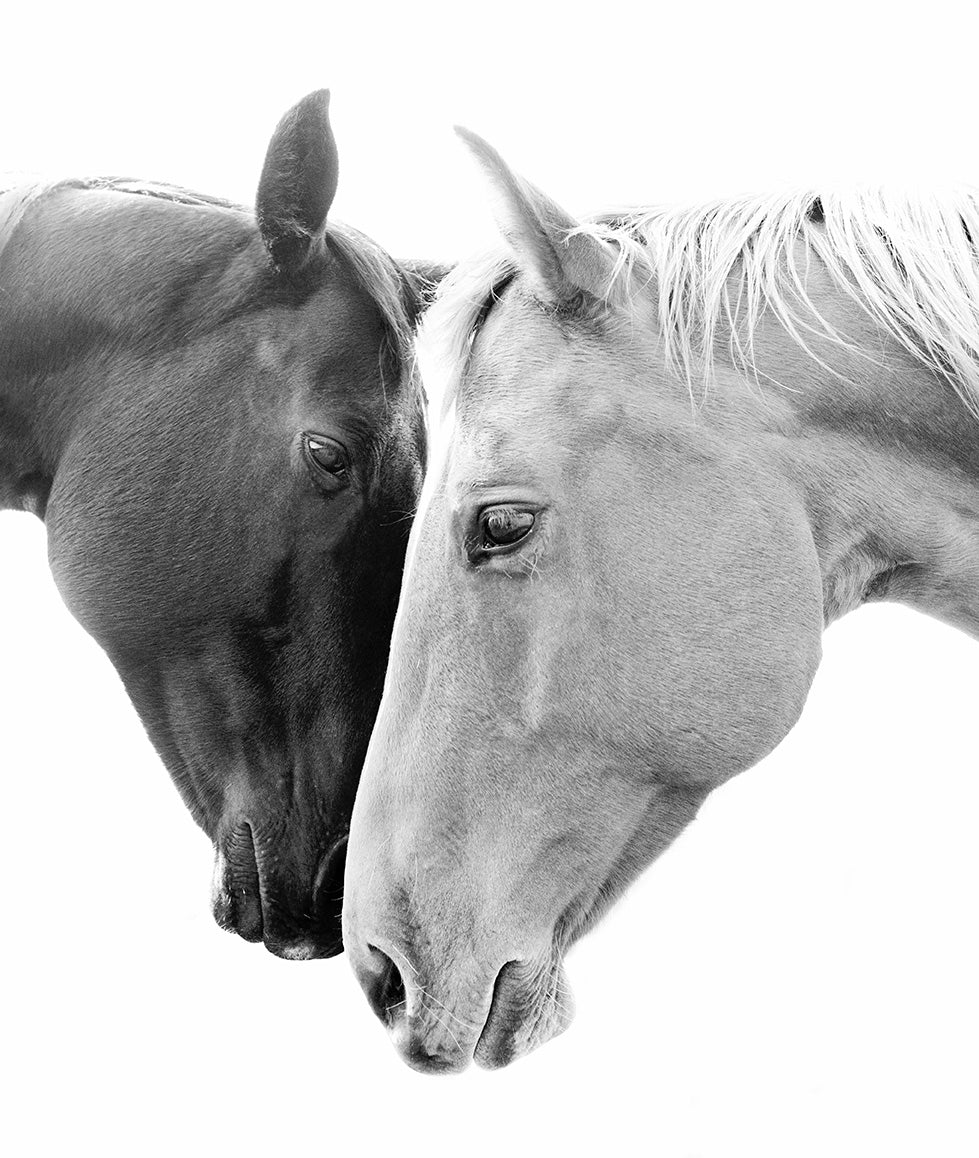 Together