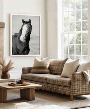 Wild Horse Gaze, Black and White