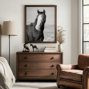 Wild Horse Gaze, Black and White