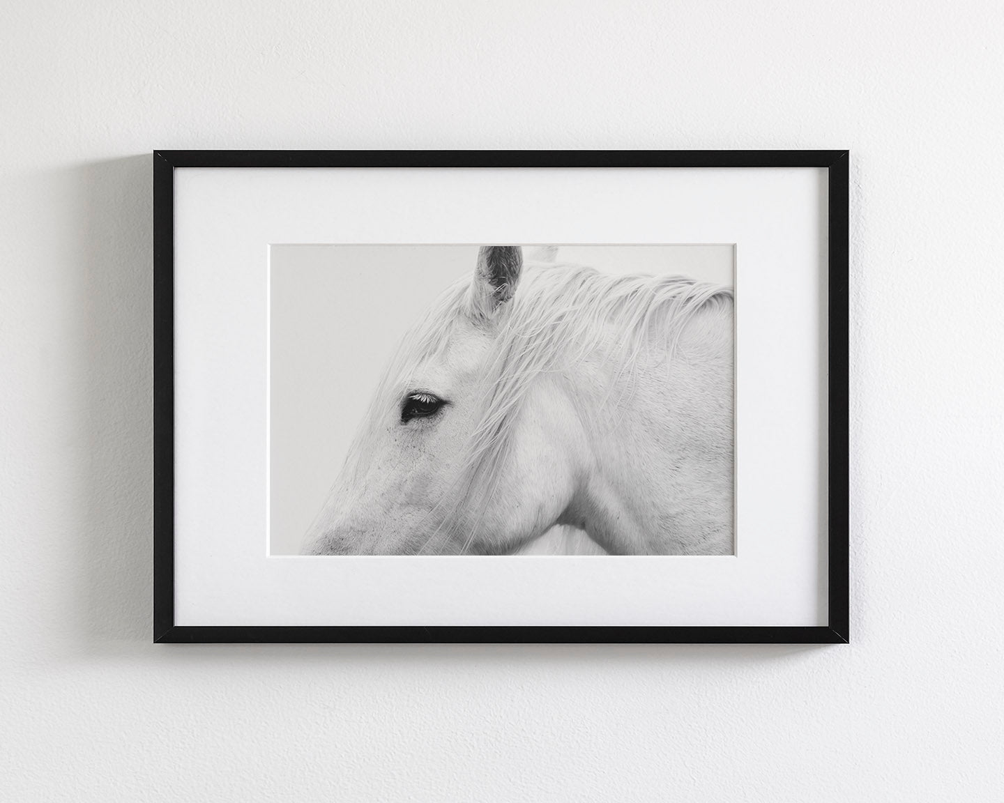 White Horse Profile