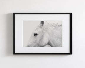 White Horse Profile