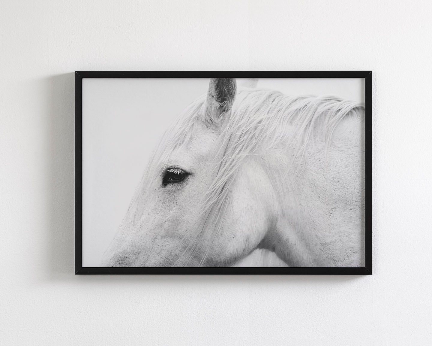White Horse Profile