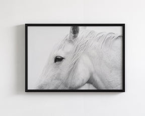 White Horse Profile