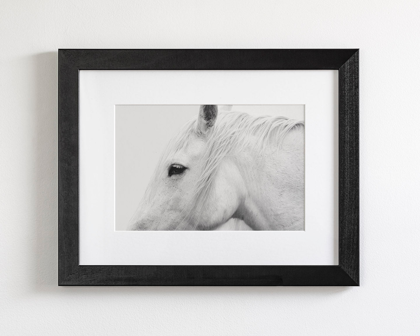 White Horse Profile