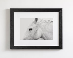 White Horse Profile