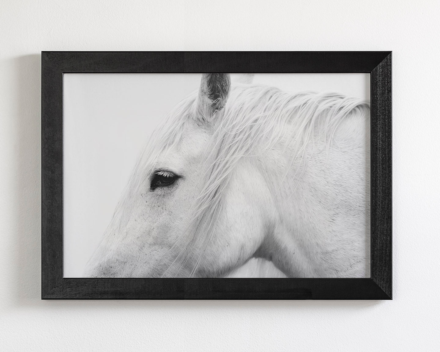 White Horse Profile